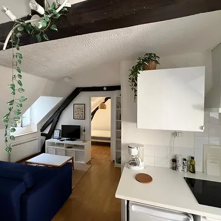 Urban Jungle T2 A Pied Appartement Pau