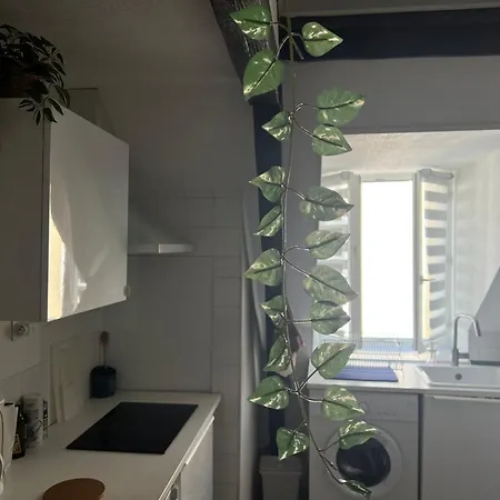 Appartement Urban Jungle T2 A Pied *