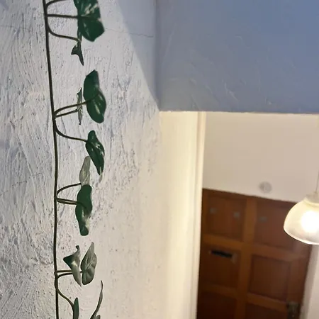 Urban Jungle T2 A Pied Appartement Pau
